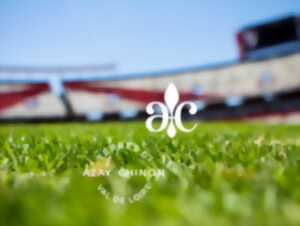 photo Chasse aux oeufs de Pâques à Saché