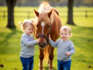 photo Cavalier Autrement : atelier des minis