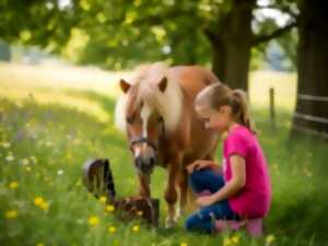 photo Cavalier Autrement : chasse aux œufs