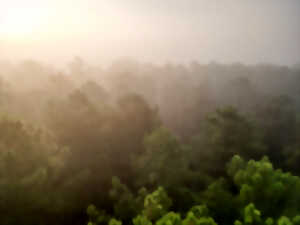 photo Rencontre et sensibilisation avec la DFCI