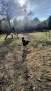 photo Parcours Ninja