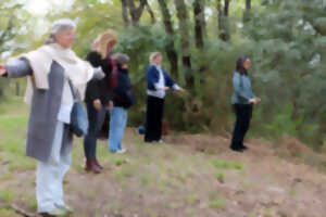 photo Balade sensorielle et immersive en forêt