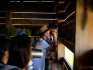 photo SEMAINE DE LA BIODIVERSITÉ - Visite guidée ornitologique 