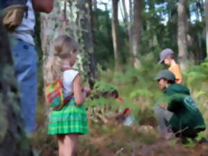 photo Les minuscules qui font peur