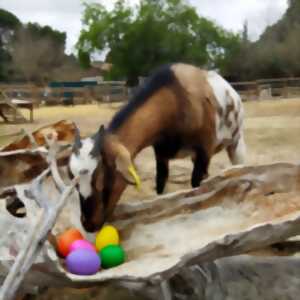 photo PÂQUES À LA FERME DU DOLMEN