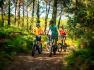 photo Balade trottinette tout terrain électrique