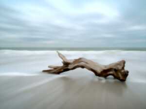 photo Exposition : Marie Bataille