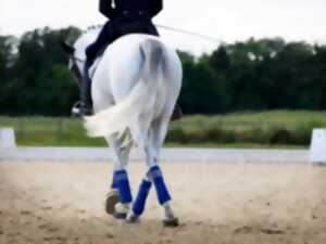 photo Concours de dressage