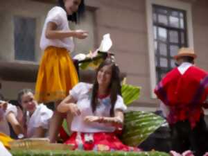 photo Carnaval de la Forêt