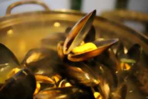 photo Repas Moules frites