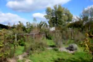 photo Mercredi en famille : jardinage, poissons d'avril ou club CPN