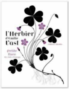 photo A la découverte du monde d'Emilie Vast, à la Médi@tech