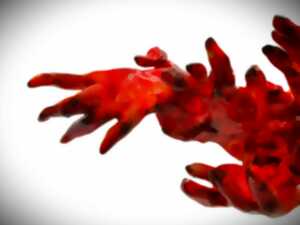 photo Portes ouvertes - exposition Cécile Laissus, artiste sculpteur