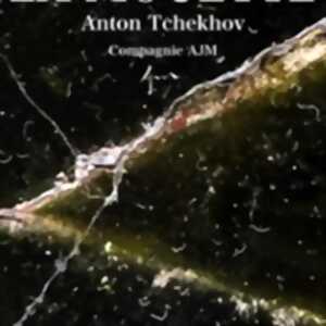 photo La Mouette - Théâtre de l'Epée de Bois - Paris