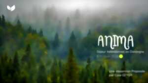 photo Séjour attentionnel