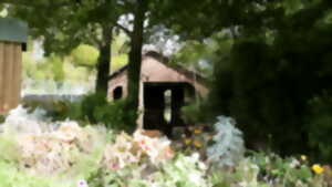 photo Secrets de lavoir