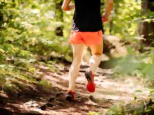 photo Terroir Nousty Trail, corre local, minya local