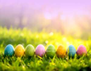 photo Chasse aux drôles d'oeufs