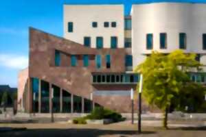 photo Guitare miroir #3