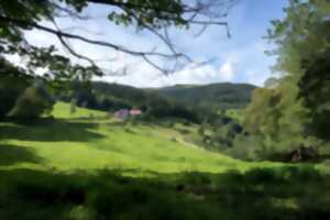 photo Club vosgien : Stemlisberg - Obersolberg