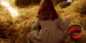 photo Chasse aux oeufs