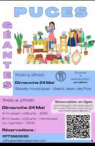 photo PUCES GÉANTES