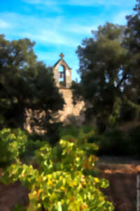 photo LA TRAÏLADES DES VINCOEURS