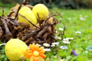 photo CHASSE AUX ŒUFS À BOUCONNE : L'AVENTURE EN FAMILLE !
