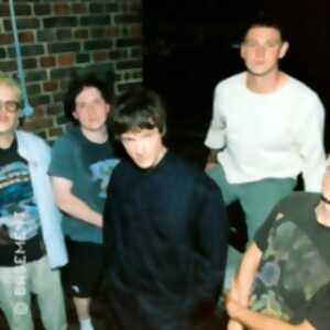 photo Basement + Fiddlehead + Guest