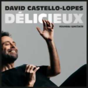 photo David Castello-Lopes - Délicieux (Tournée)