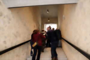 photo RENCONTRE À LA MUSE'BROC AVEC ARMELLE CARON, ARTISTE