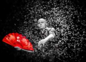 photo Spectacle Famille - Axel Lupin le Magicien