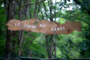 photo Les Nuits des forêts - À l'écoute des vivants