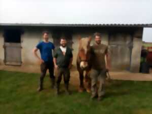 photo Talents d’Ici – Visites d’entreprises en Cingal–Suisse Normande