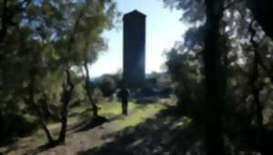 photo RANDO GUIDÉE :  AU FIL DU TEMPS