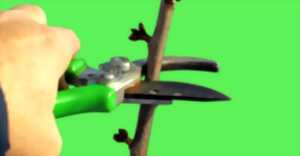 photo ATELIER BOUTURE