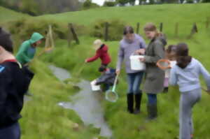 photo Atelier nature (3-5 ans) : autour de la mare