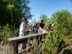 photo Découverte de la réserve naturelle de Mathon