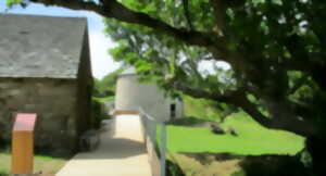 photo Atelier nature (3-5 ans) : l'arbre dans tous ses états