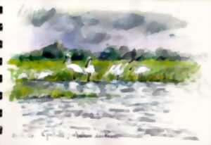 photo Croquis dans les marais des Ponts d'Ouve