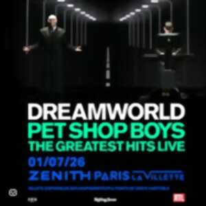 photo Pet Shop Boys - Dreamworld - The Greatest Hits live