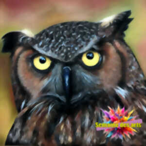 photo Salon des arts 2026