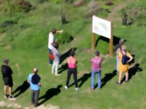 photo SEMAINE DE LA BIODIVERSITÉ - Visite du jardin forêt avec le collectif Jeunes pousses vielles branches