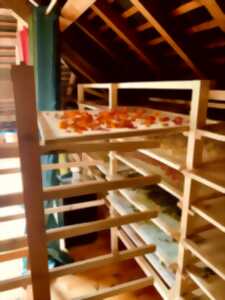 photo Atelier Herboristerie