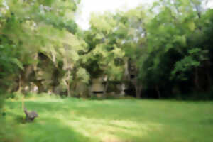 photo La Crèche : La carrière privée de Saint-Martin