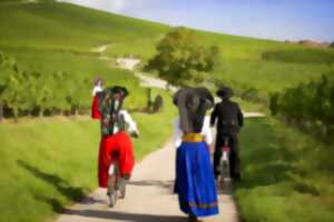 photo Spectacle folklorique