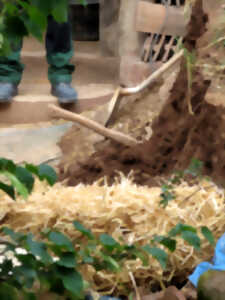 photo Mettez la main à la pâte : Torchis