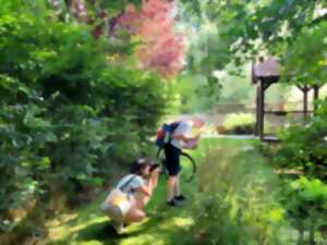 photo Balade botanique et écriture créative - Graines de soi