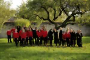 photo Concert - Maîtrise de la Cathédrale de Metz et La Petite Symphonie