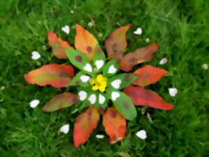 photo Petits artistes de la nature (Land art)